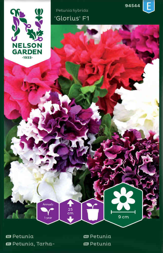 Tarhapetunia F1 'Glorious'