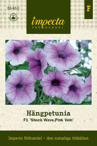 Hängpetunia F1 'Shock Wave Pink Vein'