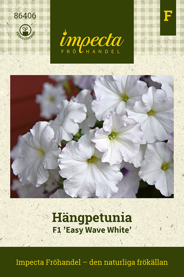 Hängpetunia F1 'Easy Wave White'