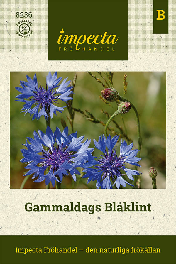 Blåklint