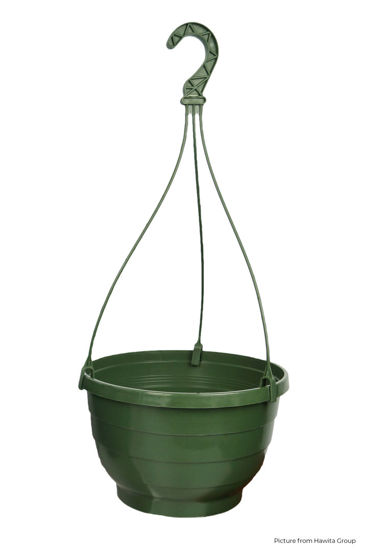 Ampel grön 25 cm, 2 st