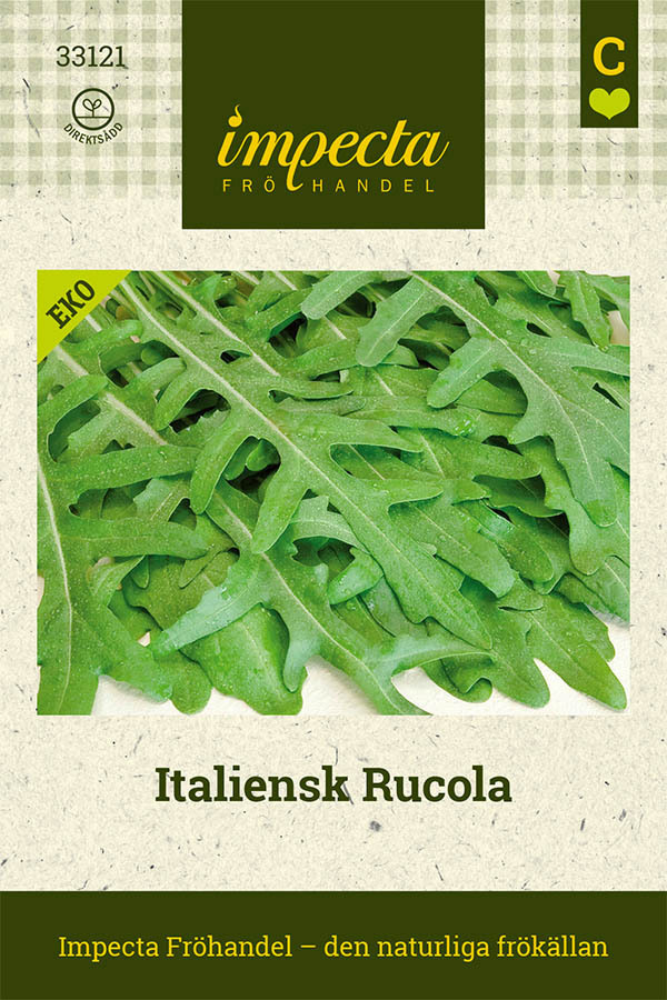 Isohietasinappi, Italialainen rukola