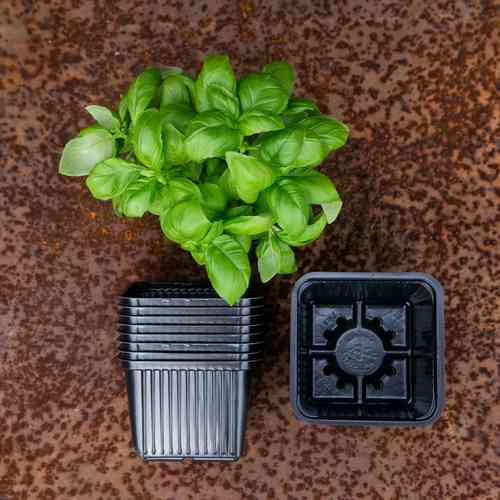 Kruka 10x10 cm, 15 st