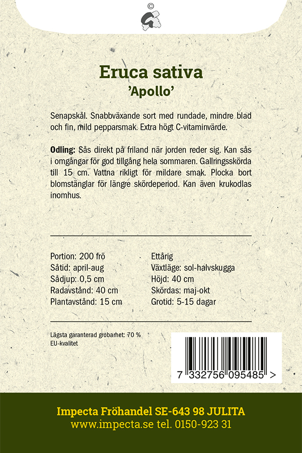 Rucolasallat, senapskål 'Apollo'