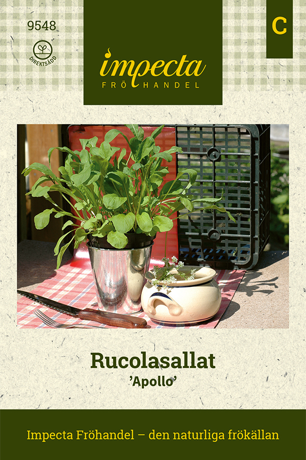 Rucolasallat, senapskål 'Apollo'