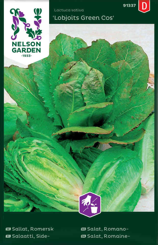Romersk sallat 'Lobjoits Green Cos'