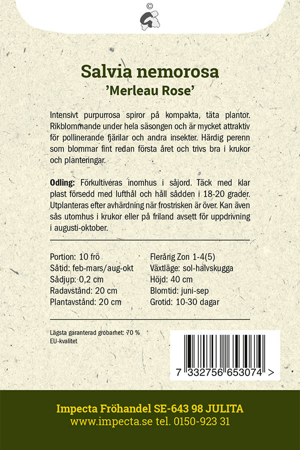 Stäppsalvia 'Merleau Rose'