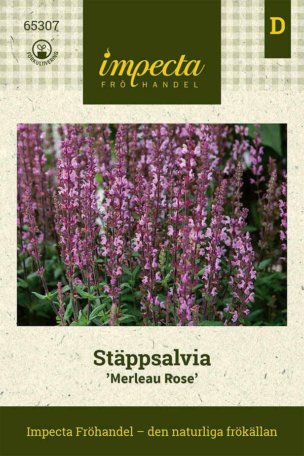 Stäppsalvia 'Merleau Rose'