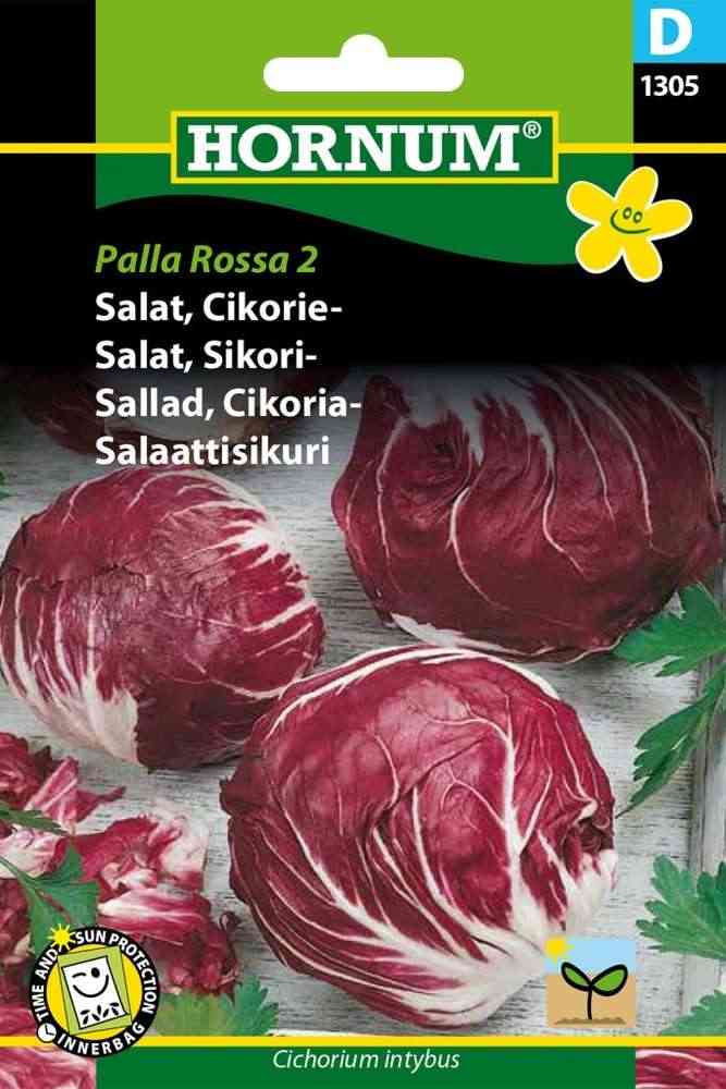 Sallatscikoria 'Palla Rossa'