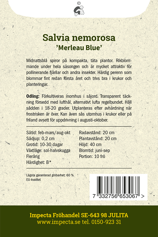Stäppsalvia 'Merleau Blue'