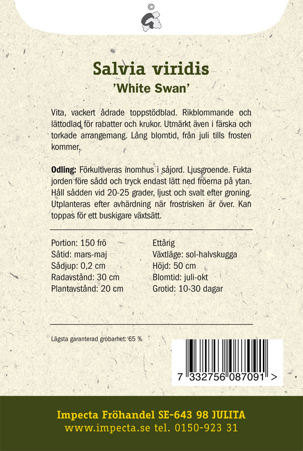 Vitbladig Broksalvia 'White Swan'