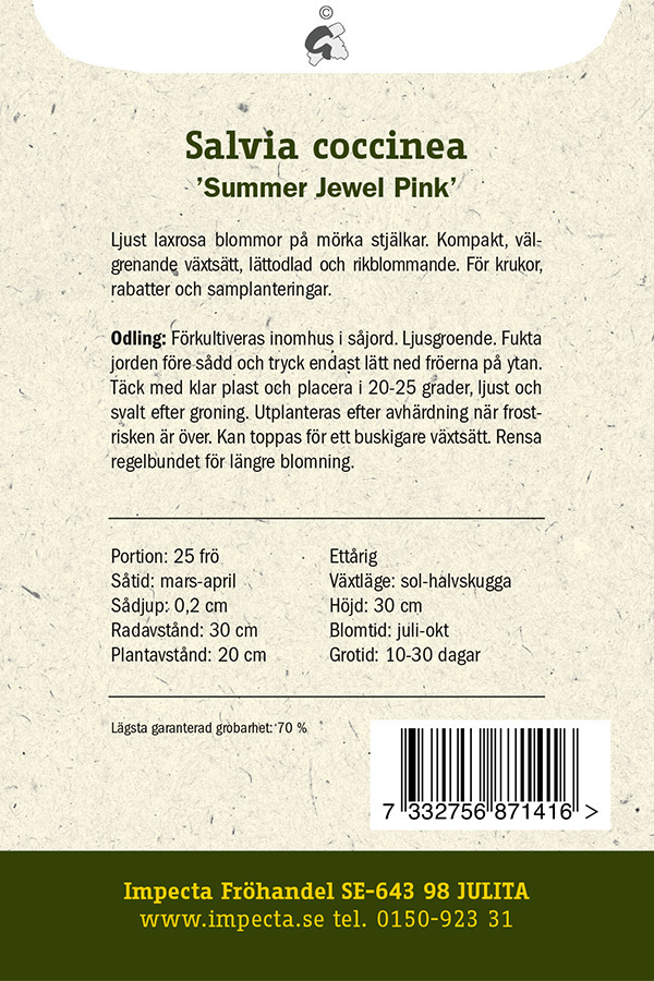 Scharlakanssalvia 'Summer Jewel Pink'
