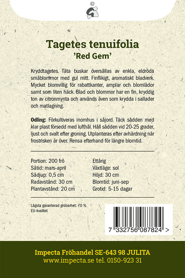 Liten Tagetes 'Red Gem'