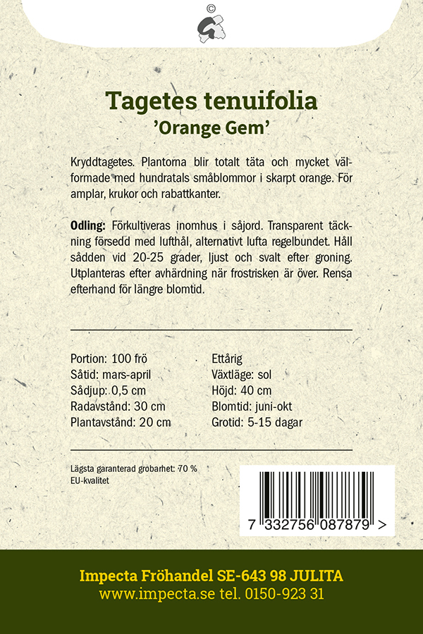 Kääpiösamettikukka 'Orange Gem'