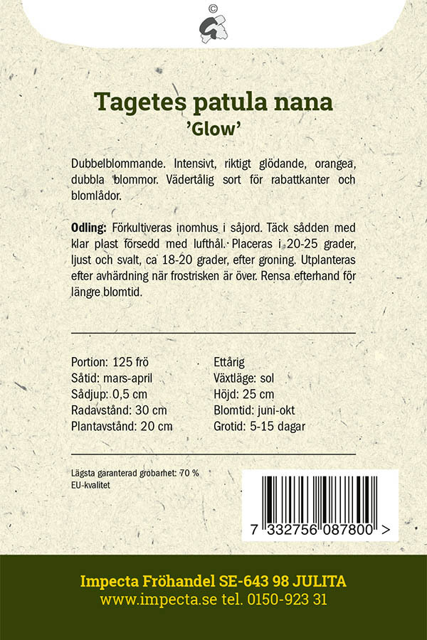 Sammetstagetes 'Glow'