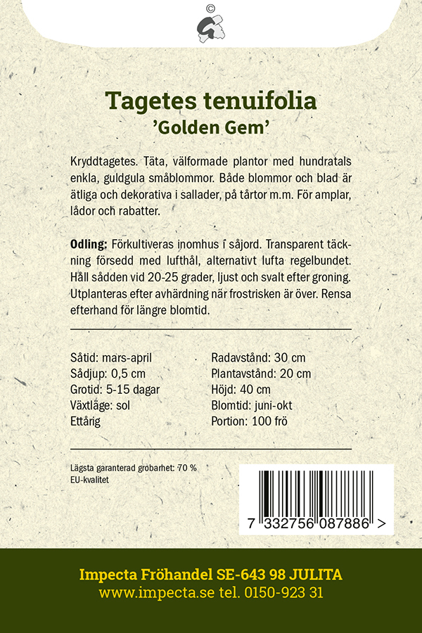 Liten Tagetes 'Golden Gem'