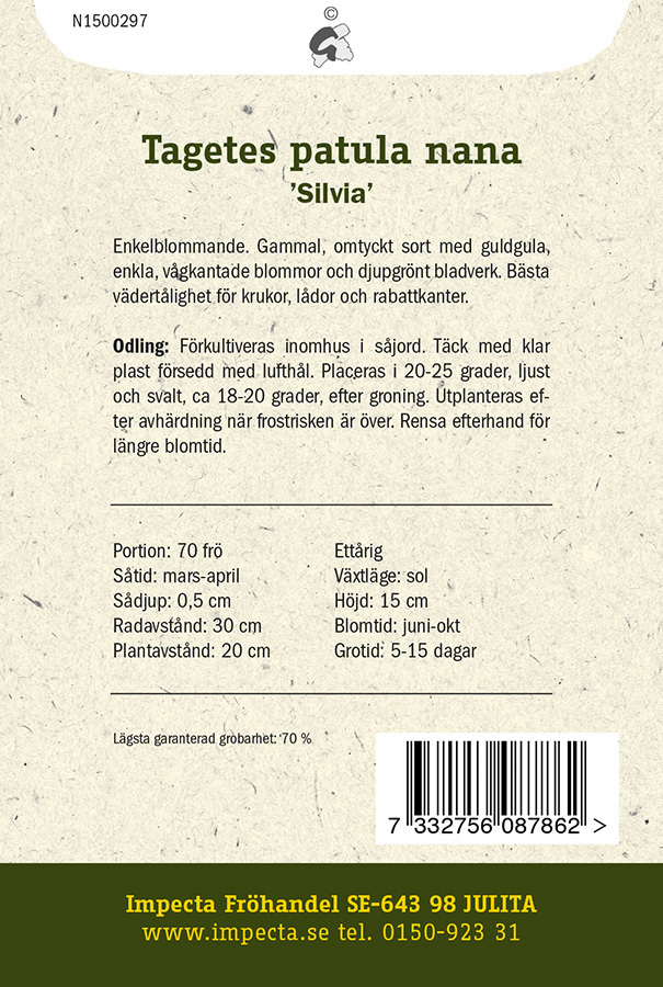Sammetstagetes 'Silvia'