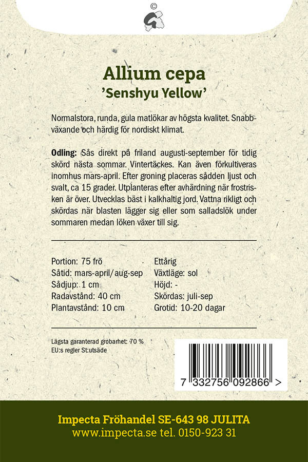 Keltasipuli 'Senshyu Yellow'