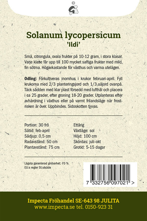 Körsbärstomat 'Ildi'