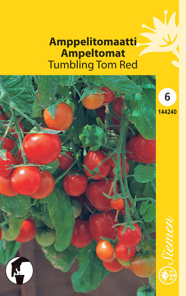 Ampeltomat 'Tomfall' / 'Tumbling Tom Red'