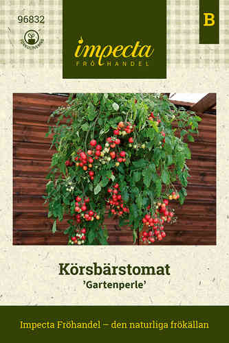 Amppelitomaatti 'Gartenperle' Amppelitomaatti 'Gartenperle'