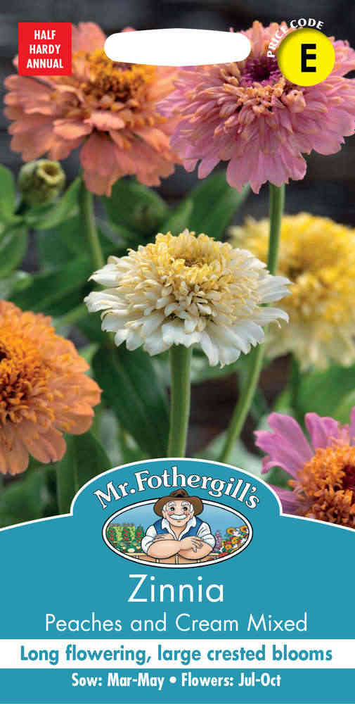 Zinnia 'Peaches & Cream Mixed'