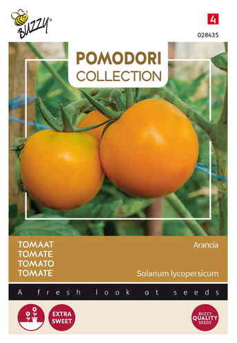 Tomaatti 'Zloty Ozarowski'/'Arancia'