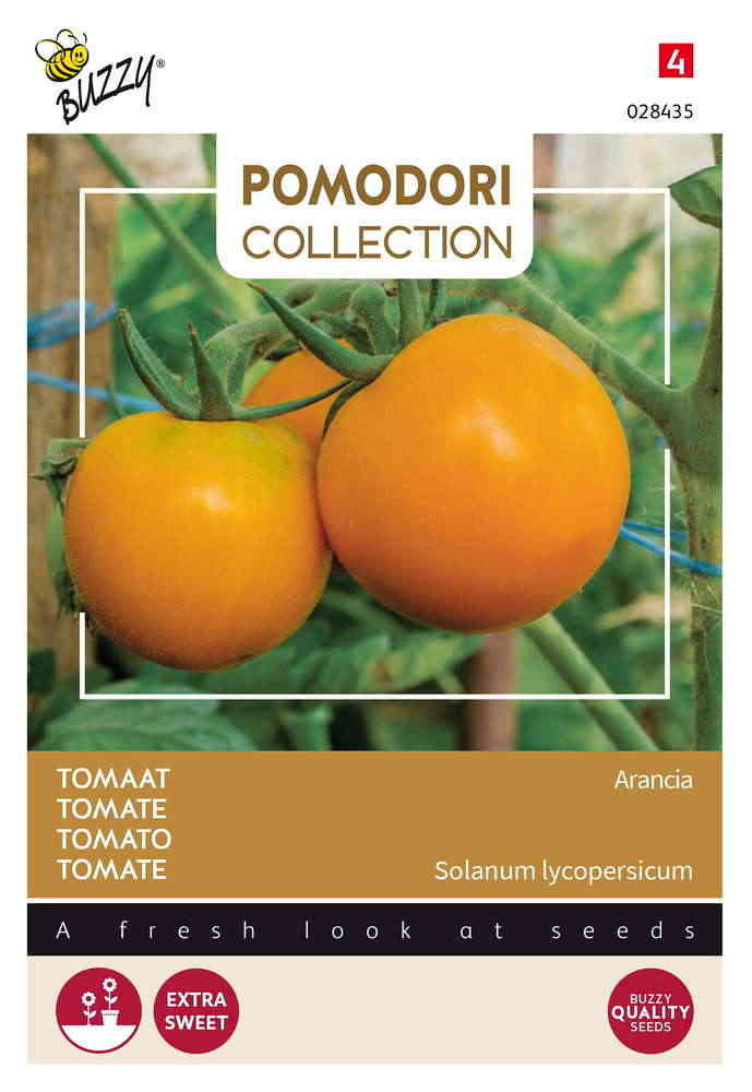 Tomat 'Zloty Ozarowski'/'Arancia'