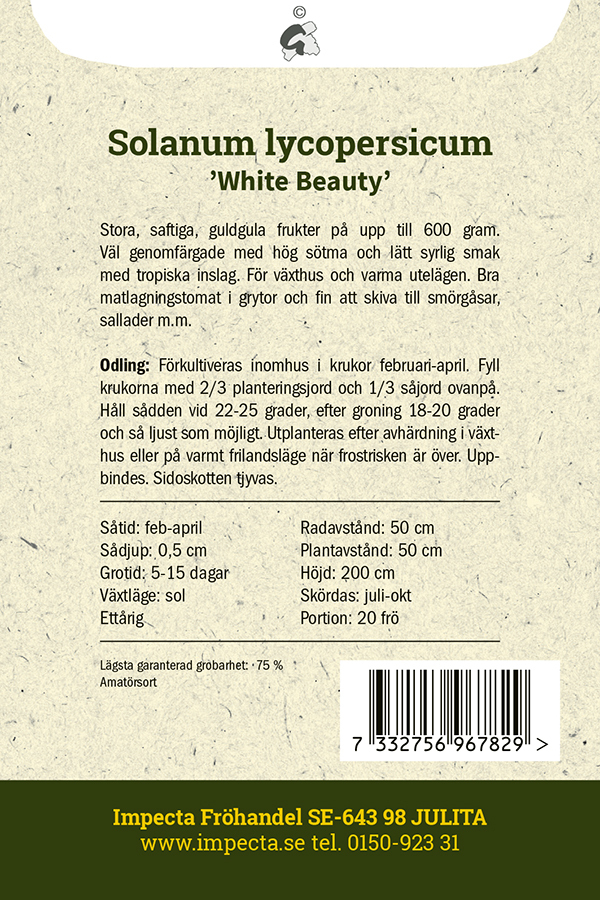 Pihvitomaatti 'White Beauty'