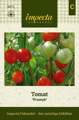 Tomat 'Promyk'
