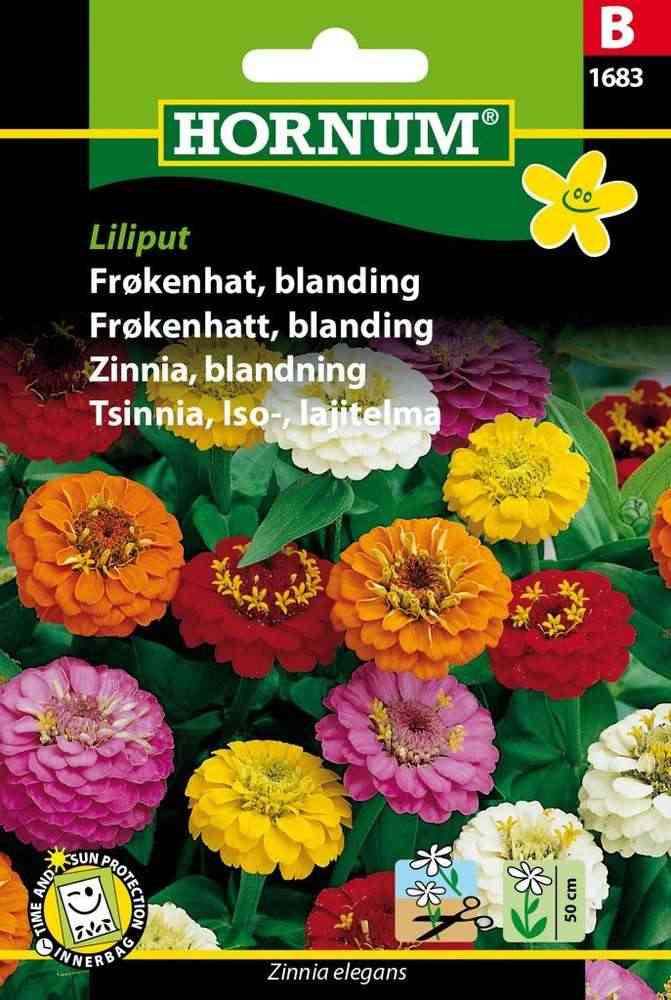 Zinnia, blandning 'Liliput'