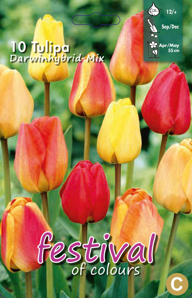 Two Digit Subtraction Worksheets For Grade 2 With Borrowing Two Digit Subtraction Worksheets For Grade 2 With Borrowing