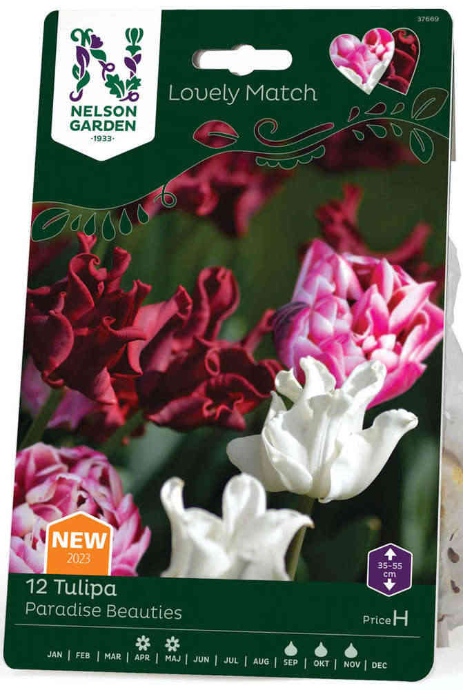 Tulpanblandning 'Paradise Beauties'