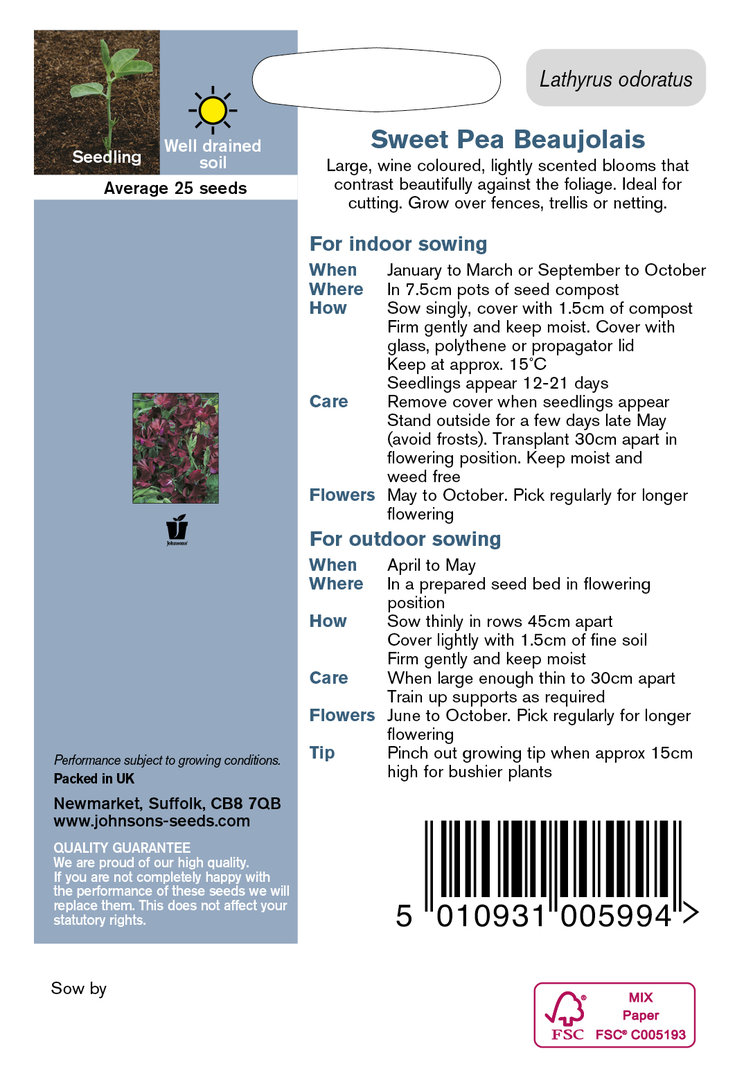 Luktärt 'Beaujolais'