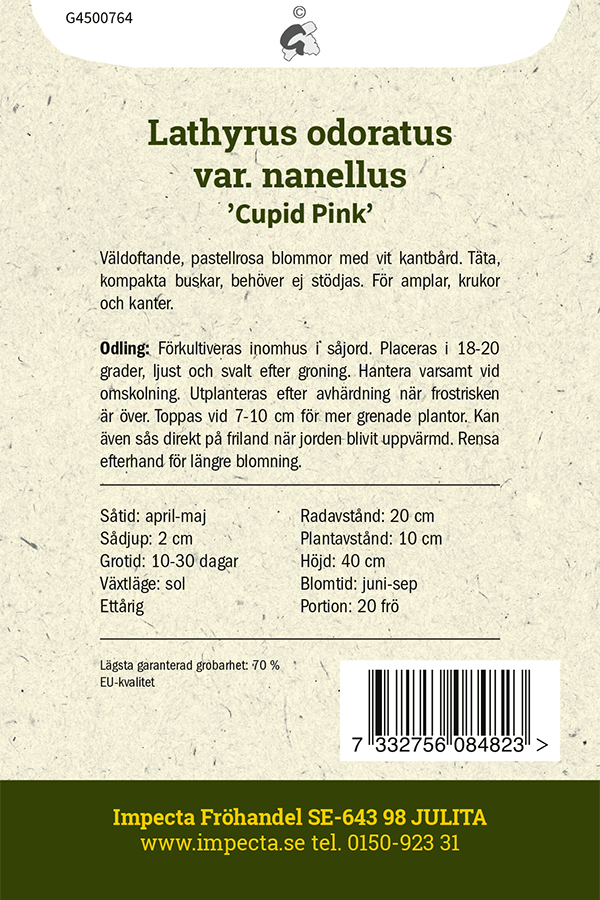 Dvärgluktärt 'Cupid Pink'