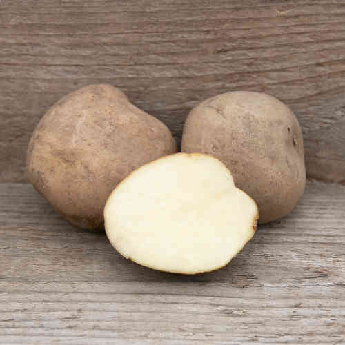Acoustic sättpotatis 3 kg