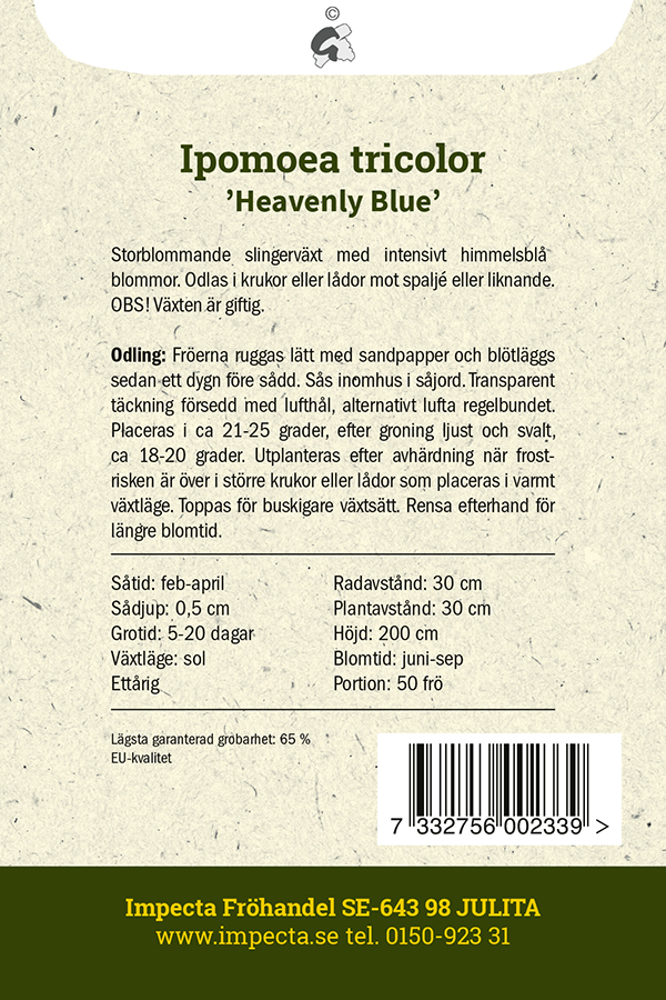 Päivänsini 'Heavenly Blue'
