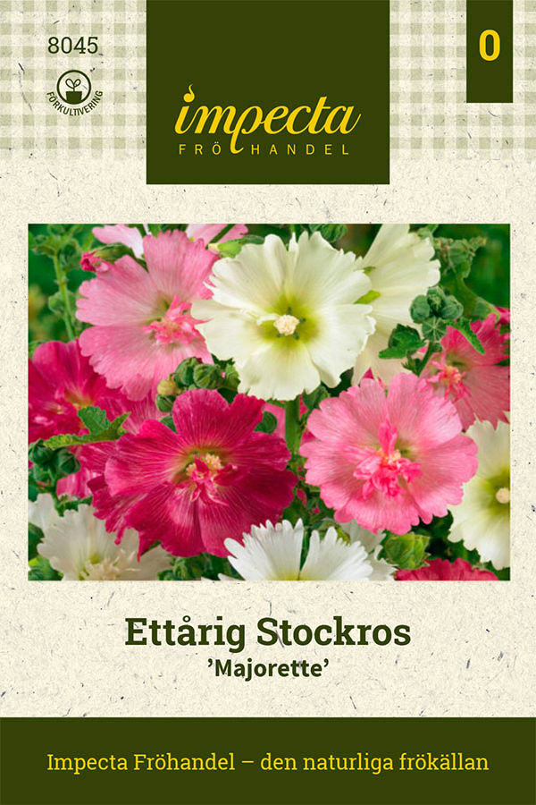 Ettårig Stockros 'Majorette'
