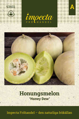 Honungsmelon 'Honey Dew'