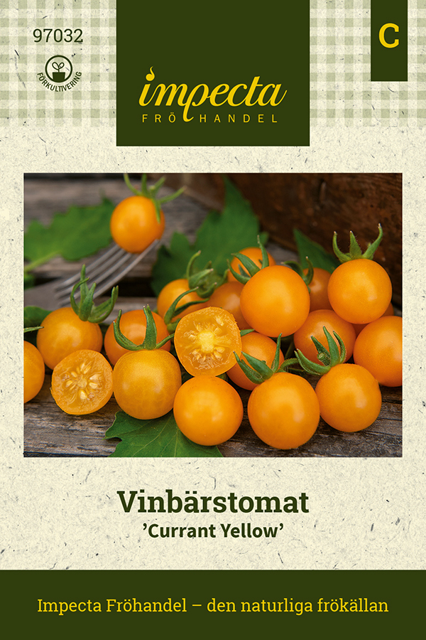 Vinbärstomat 'Currant Yellow'
