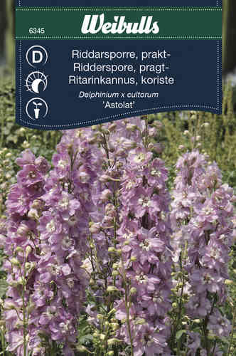 Riddarsporre 'Astolat'