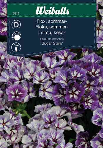 Sommarflox 'Sugar Stars'