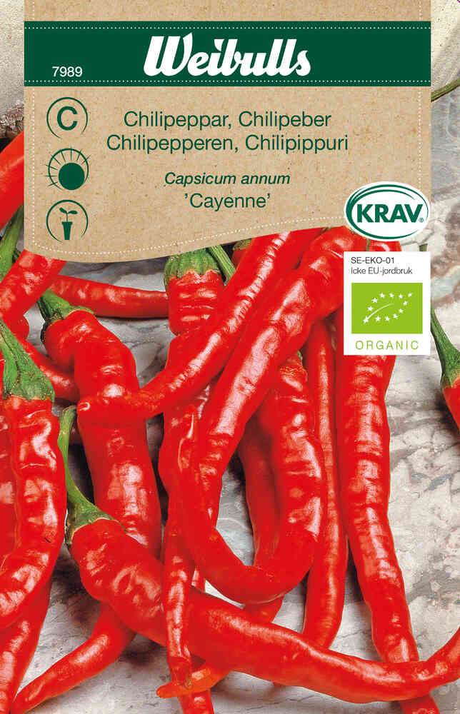 EKO Chilipeppar 'Cayenne'