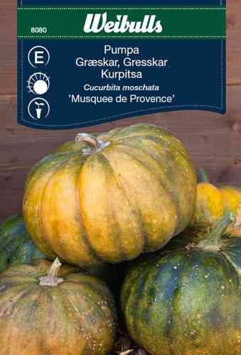 Kurpitsa 'Musquee de Provence'