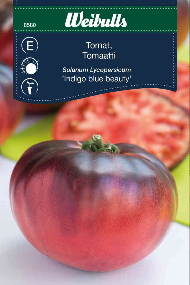 Tomat 'Indigo Blue Beauty'