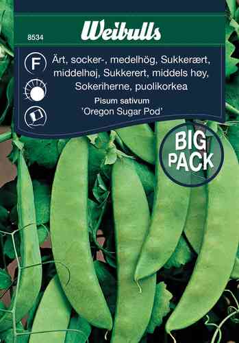 Sockerärt 'Oregon sugar pod' Big Pack