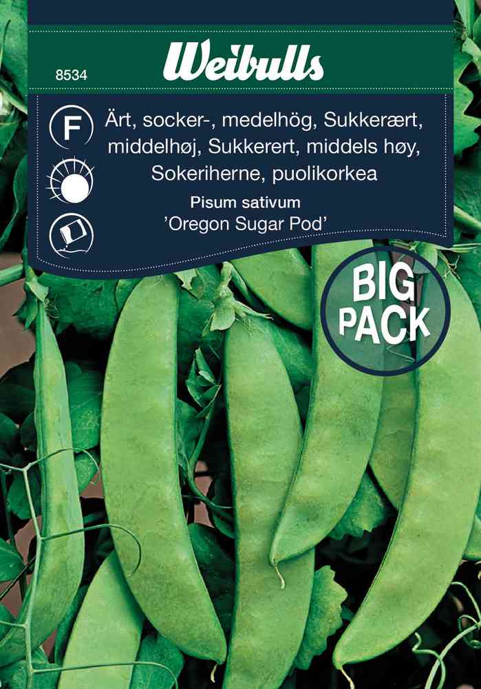 Sockerärt 'Oregon sugar pod' Big Pack