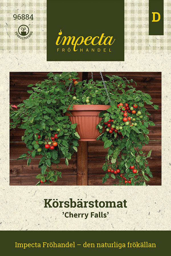 Körsbärstomat 'Cherry Falls'