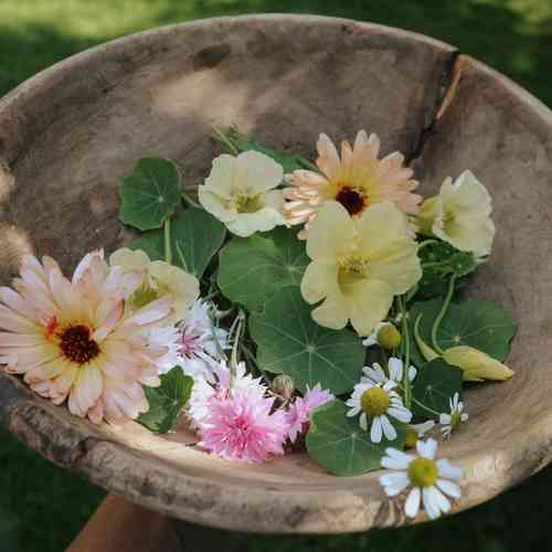Ätbara blommor mix