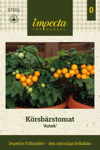 Körsbärstomat 'Aztek'